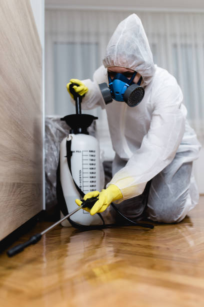 Real Estate Pest Inspections in Ellaville, GA